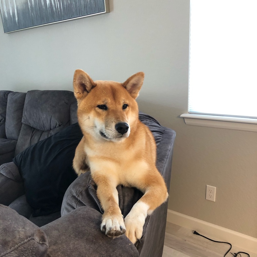 Meet your Posher, Kristen